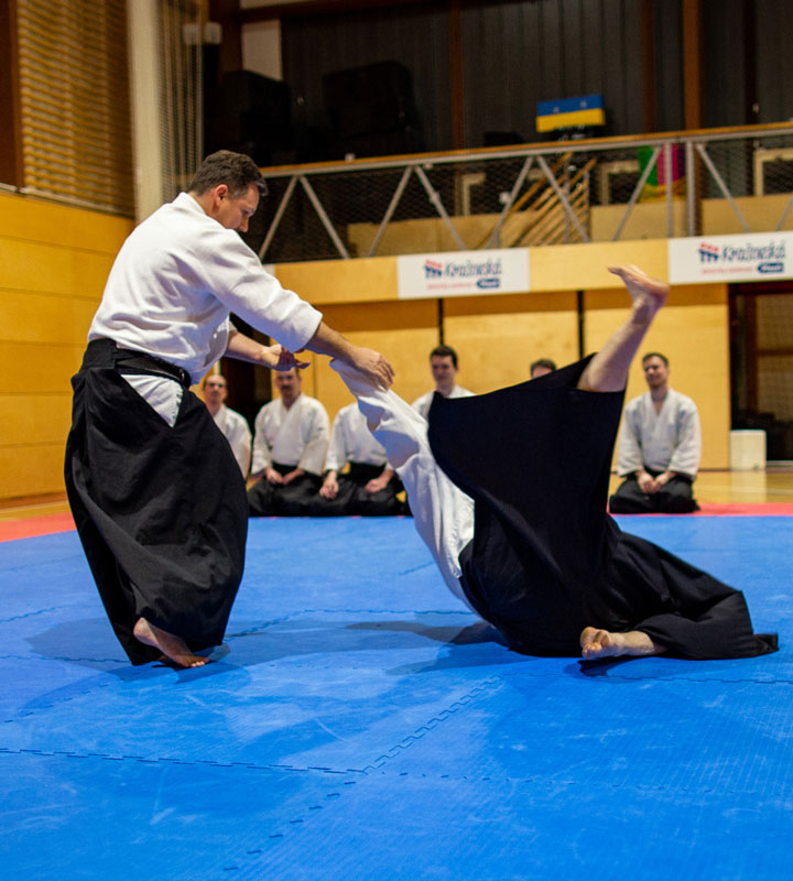 //aikido-plzen.cz/wp-content/uploads/2022/05/treninky.jpg